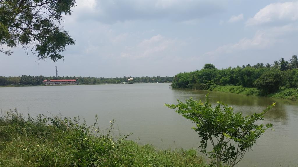 Sunhill Lake Tourist Rest Anurâdhapura Extérieur photo